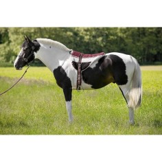 Tappeto da equitazione Norton