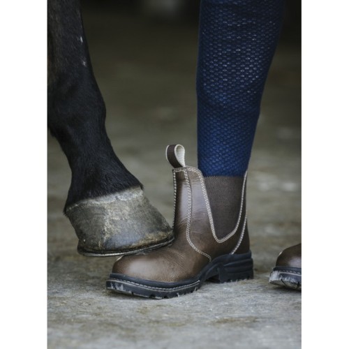 Stiefeletten Norton S écu