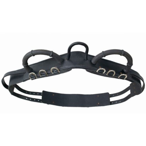 Tattini acrobacias aéreas con asas