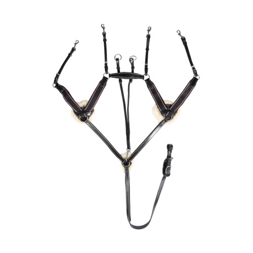 Collier de chasse cinq points doublé... Collier de chasse cinq points doublé...