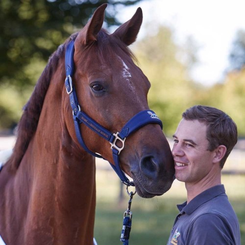 Halfter und Strick Discover Breakaway... Halfter und Strick Discover Breakaway...