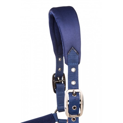 Cabezada y ramal Discover Breakaway...