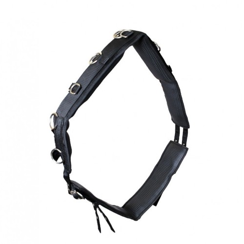 Longiergurt Komfort DMH Equitation