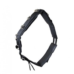 Longiergurt Komfort DMH Equitation