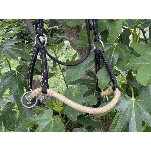 Side Pull rawhide Valley Miles mit...