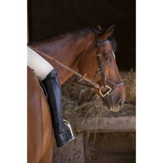Mini-chaps Equithème Premium standard 2