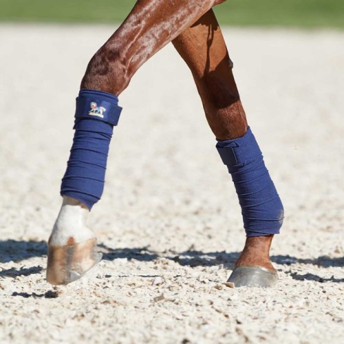 Bandes di polo Discover Aubenhausen Bandes di polo Discover Aubenhausen