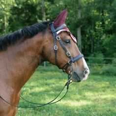 Bridle Valley Miles senza morso