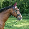 Valley Miles Cabezada Snaffle Bitless