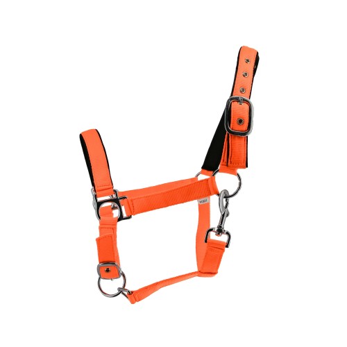 Nylon halster in intense kleuren met... Nylon halster in intense kleuren met...