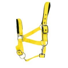 Licol nylon couleurs intenses protection suédine