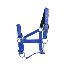 Nylon halster in intense kleuren met suède bescherming