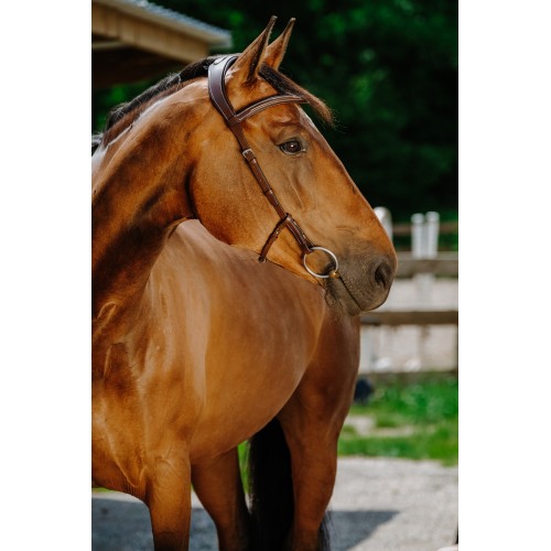 Norton Briglia Snaffle Freedom