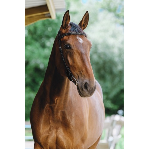 Norton Briglia Snaffle Freedom