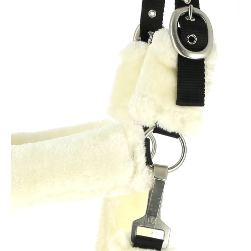 Cabestro completo para ovejas Cabestro completo para ovejas