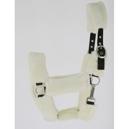 Halfter full Schaf Halfter full Schaf