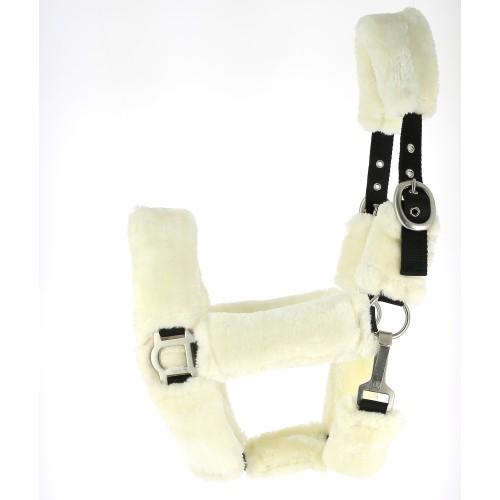 Licol full mouton Licol full mouton