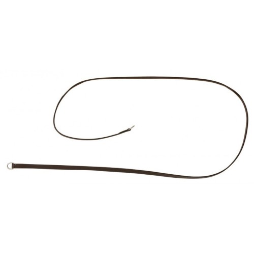 Riendas de gogue de cuero Riding World