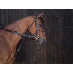 Riendas de gogue de cuero Riding World