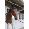 Halfter + Longe Riding World Club