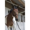 Halfter + Longe Riding World Club