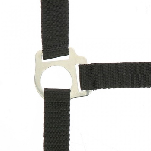 Riding World Halster + touw Club