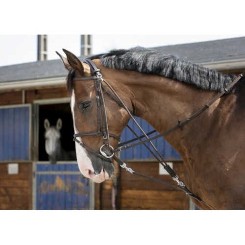 Samengestelde gogue Riding World