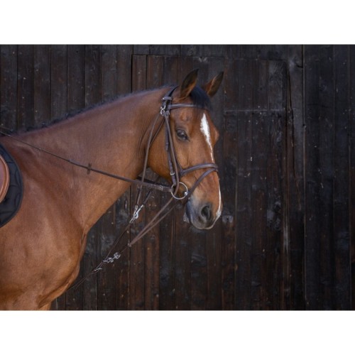 Samengestelde gogue Riding World