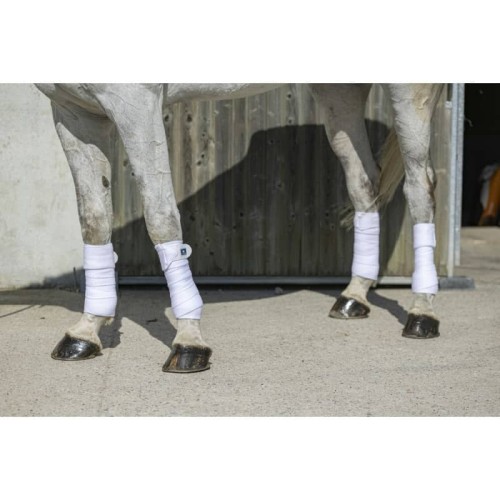 Bandes de polo Riding World Eco Bandes de polo Riding World Eco