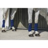 Polo-Streifen Riding World Eco