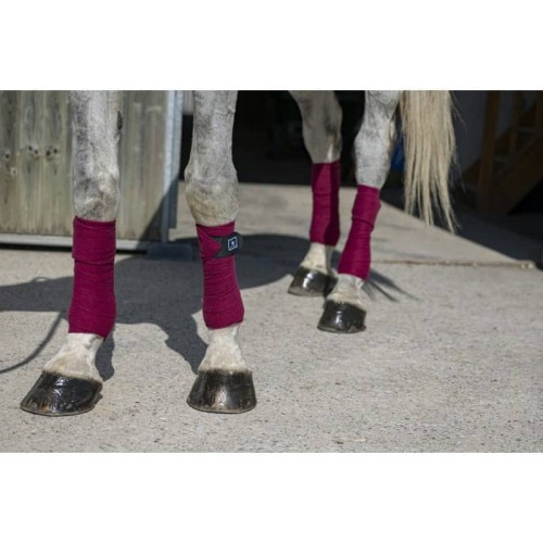 Bandes de polo Riding World Eco Bandes de polo Riding World Eco