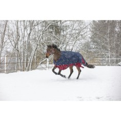 Decke Equithème Tyrex 300g 1200D 2