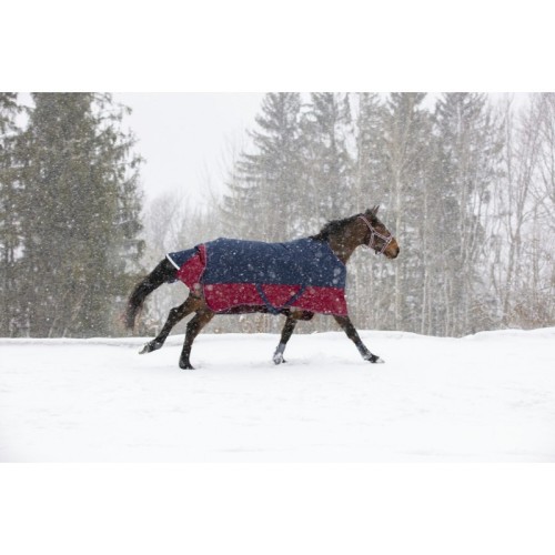 Coperta Equithème Tyrex 300g 1200D