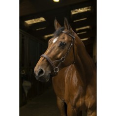 Norton Tirador lateral Pro Confort