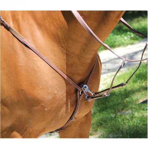 Caprio Brio Jagdhalsband Treadstone