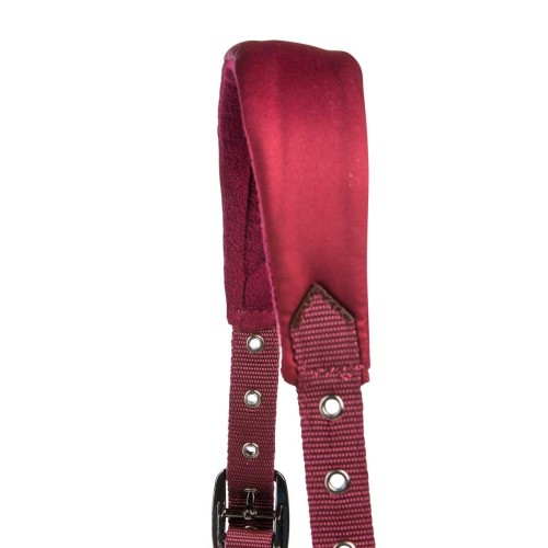 Aubenhausen Capezza e lunghina