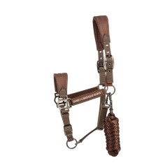 Ensemble licol et longe Classique sécurité Breakaway...