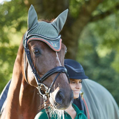 Fliegenhaube Famoso Aubenhausen Fliegenhaube Famoso Aubenhausen