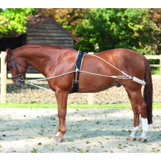 Ausbinder Set Imperial Riding