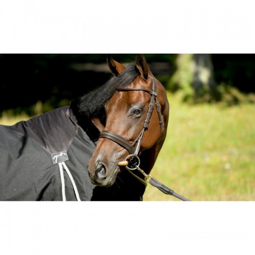 Penelope doosmap 400 g