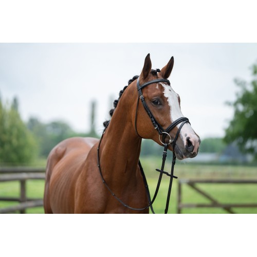 Rundsleder strass hoofdstel HKM