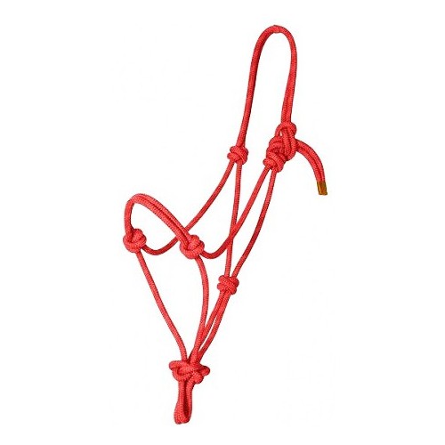 Licol ethologique arret cuivre noeud... Licol ethologique arret cuivre noeud...