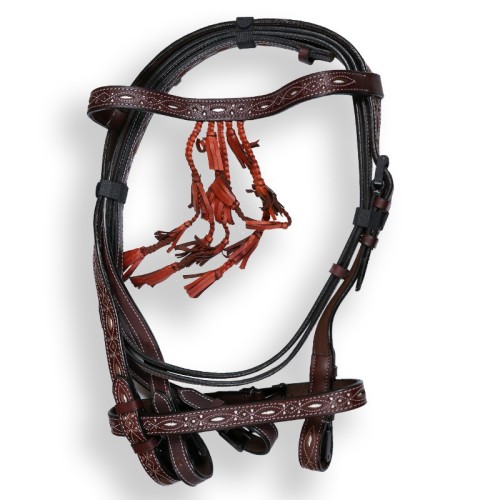 Spaans hoofdstel met teugels Catalona...