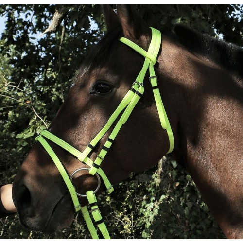 Bridon synthétique couleur Best-Rider