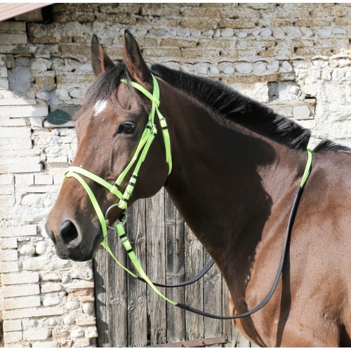 Bridon synthétique couleur Best-Rider