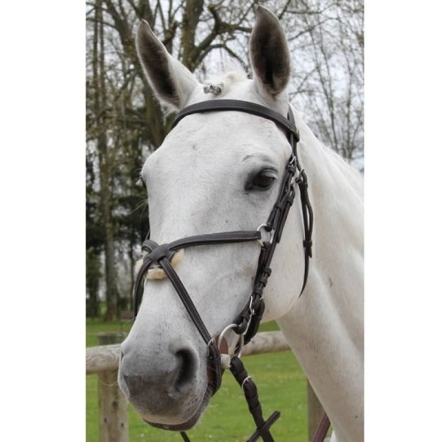 Treadstone Briglia snaffle Pavin Richtan