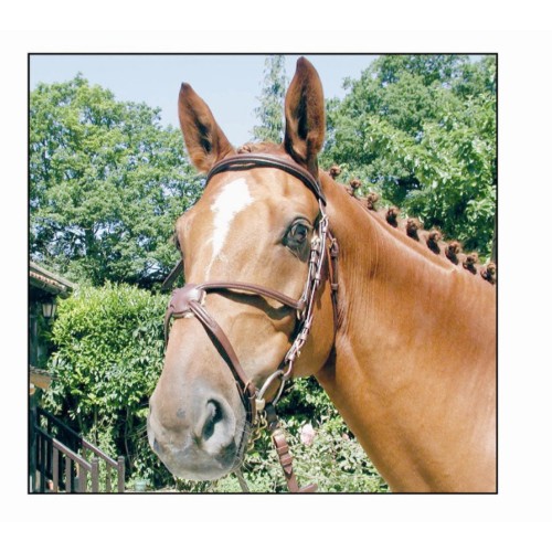 Briglia snaffle a doppio petto in...