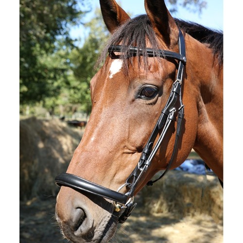 Bridon muserolle allemande DMH...