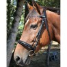 Frans gebogen neusriem hoofdstel DMH Equitation