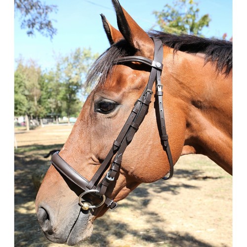 Briglia snaffle francese ad archetto... Briglia snaffle francese ad archetto...